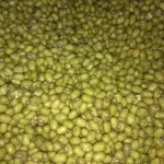 मुग १/२ किलो