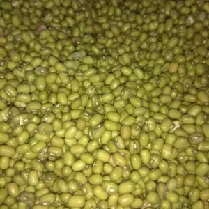 मुग १/२ किलो