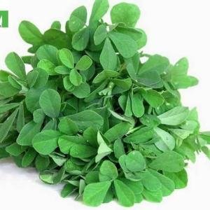 मेथी १ नग