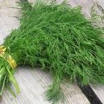 शेपू १ नग