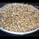 मटकी १/२ किलो