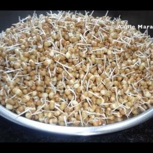 मटकी १/२ किलो