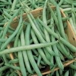 बिनिस १ किलो