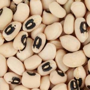 चवळी 1 किलो