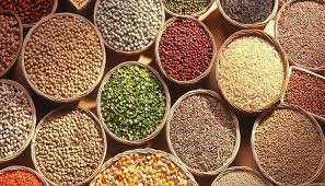 कडधान्य